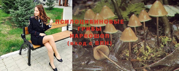 соль ск Алексин