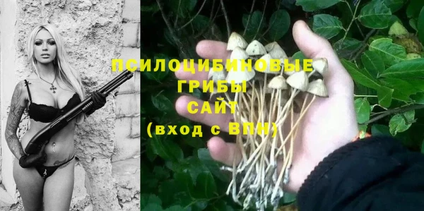 хмурый Алексеевка