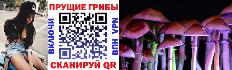 Псилоцибиновые грибы GOLDEN TEACHER  MEGA маркетплейс  Петрозаводск 